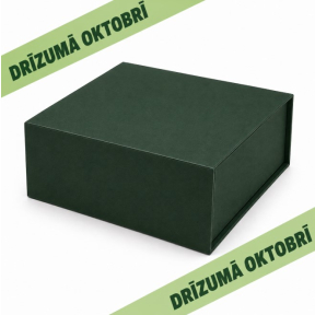 Zaļa dāvanu kastes ar magnētu