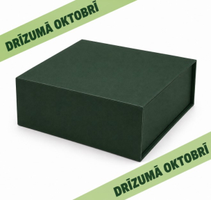 Zaļa dāvanu kastes ar magnētu